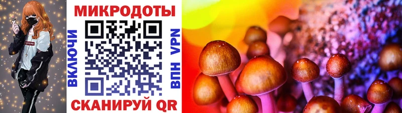 Галлюциногенные грибы прущие грибы  shop наркотические препараты  Суздаль 